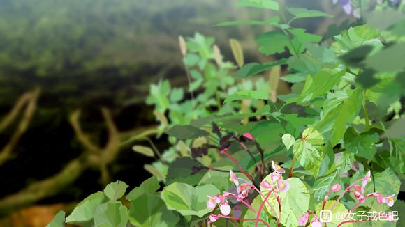 ”伤精外在表现（1）