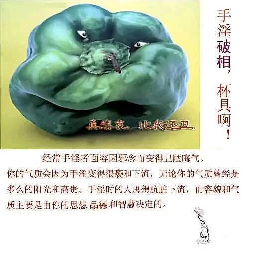 ”果报自受，转载