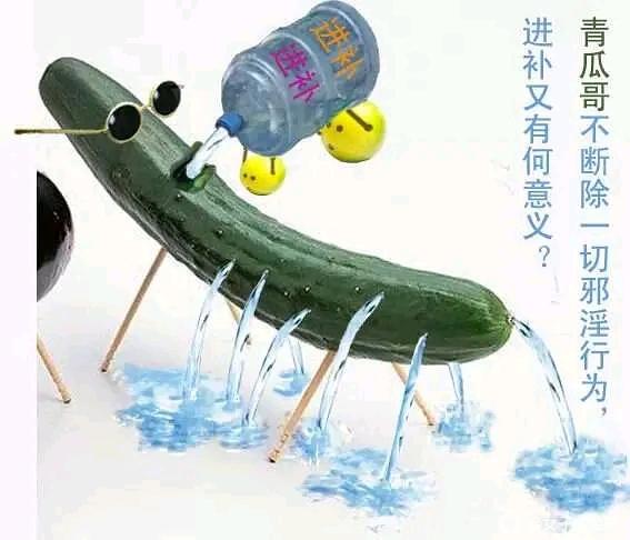 ”果报自受，转载