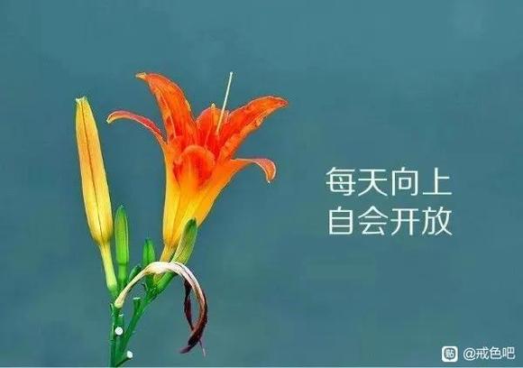 ”戒色屡屡失败的原因