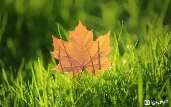 ”戒色第130天！