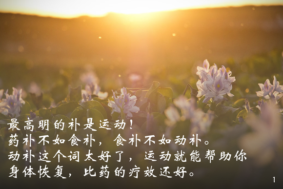 ”每天更新戒色图片，分享戒为良药的笔记