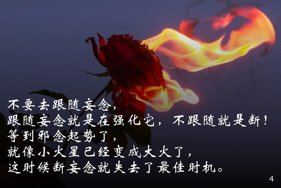 ”每天更新戒色图片，分享戒为良药的笔记