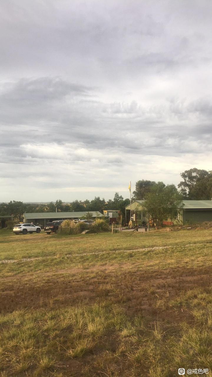 ”#微信看病卖药是假的#转发戒色关键-执行力分享