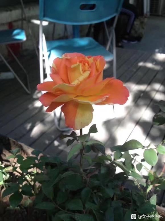 ”谁是前世埋你的人